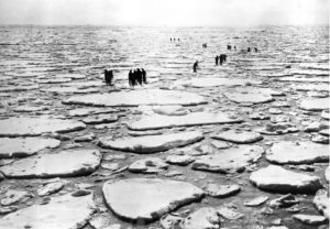 Sealers on ice pans sealers on ice pans